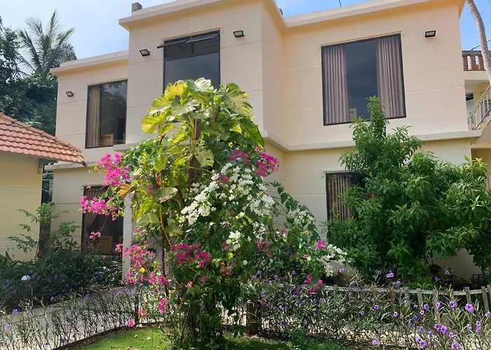 Sun & Wind Paradise Bungalow